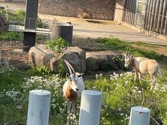 -苏州上方山国家森林公园
