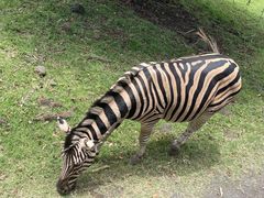 -卡塞拉自然公园