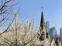 -重庆市江北嘴中央商务区中央公园