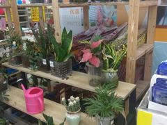 -华润苏果(晓庄国际商业广场店)