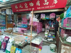 -武汉花鸟市场