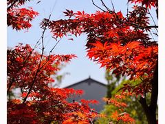 -雅达·阳羡溪山小镇中心