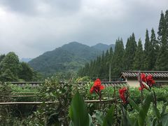 -青城山六善酒店·紫氣園中餐厅