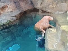 -波塞冬海底世界
