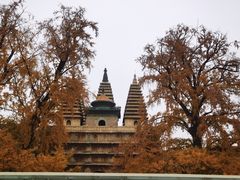 -北京石刻艺术博物馆(五塔寺)