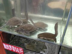 -深圳柯记餐厅(大望店)