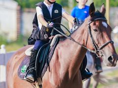 -北京群众马术培训基地