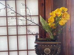 -厦门园林博览苑