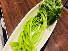 -海底捞火锅(老城根店)