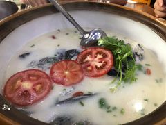 -全乐鱼馆·淳牌有机鱼直营店
