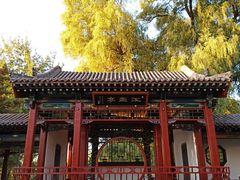 -晋祠公园