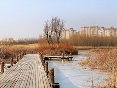 -马家湾湿地公园