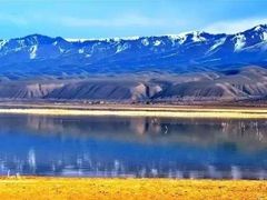 -居丽装饰空间设计(奉贤店整合到徐汇总部)