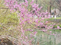 -花溪公园