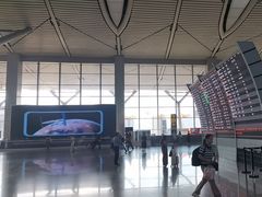 -贵阳龙洞堡国际机场-T2航站楼