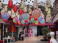 -猫咪博物馆(顶澳仔猫街店)