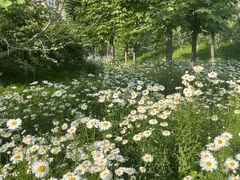 -有鱼吃·纸包烤鱼(曲江创意谷店)