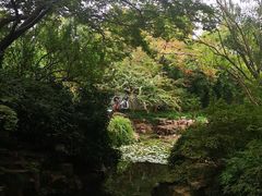 -上海醉白池公园