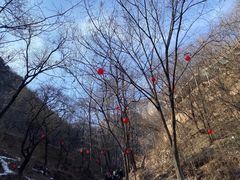 -云丘山景区