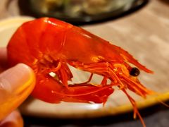 -采悦轩中餐厅·粤菜·海南菜(神州半岛喜来登度假酒店)