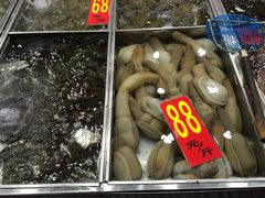 湛江渔港(乐园路店)-湛江渔港·大排档(乐园路总店)