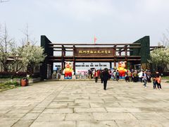 -杭州湾海上花田景区