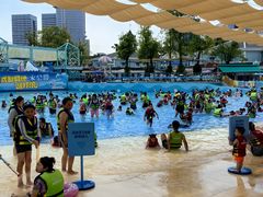 -海合安成都极地海洋公园
