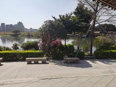 -顺德了能馆(虎门店)