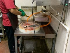 -铁锅炖灶台鱼老三炖鱼馆