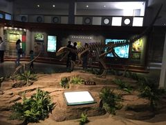 -自贡恐龙博物馆