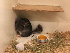 -龙猫仔乐园(惠福东路店)