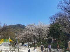 -杭州少年儿童公园