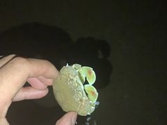 -南麂列岛