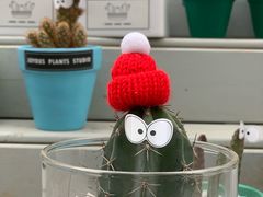 -三圣花乡旅游区