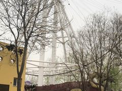-石家庄市植物园