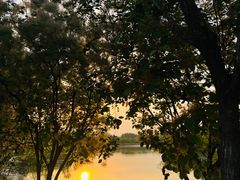 -东郊湿地公园