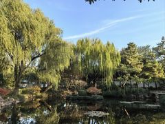 -秋霞圃