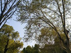 -鼓楼(西湖风景名胜区)