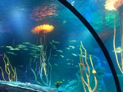 -沈阳海洋探索中心