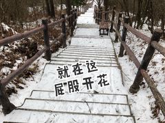 -九宫山风景区