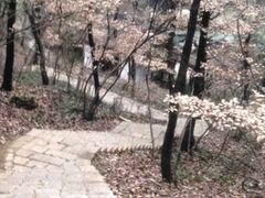 -南山风景名胜区