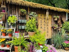 -沂蒙山旅游区龟蒙景区