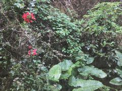 -广东温泉宾馆