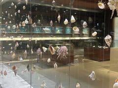 -青岛贝壳博物馆