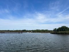 -西青郊野公园