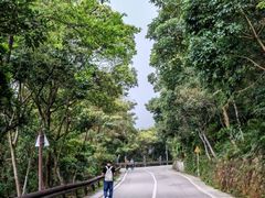 -梧桐山风景名胜区