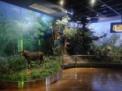 -陕西自然博物馆