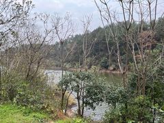 -青龙山国家森林公园