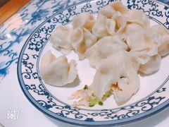 -东方饺子王(新奥购物中心店)