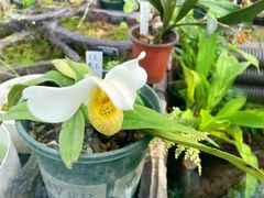 -国家植物园南园